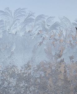 Kolejne ofiary mrozów, zamarzło 8 osób