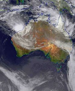 Cyklon uderzył w Australię. "Cały budynek się trzęsie"