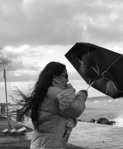 Silny wiatr może łamać drzewa i zrywać linie energetyczne