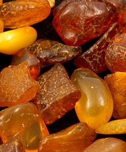 Przemycała 74 kg bursztynu - nie zgadniesz, po co