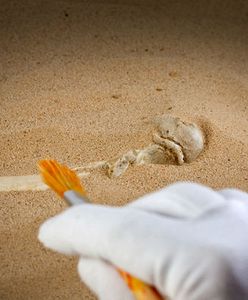 W Meksyku odkryto indiańskie miejsce pochówku z XIII wieku