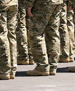 Premier Kopacz uczci żołnierzy generała Andersa w Bolonii