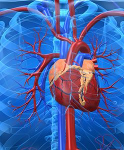 Operacja serca w technice 3D