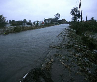 Woda z "cofki" wdziera się do gospodarstw na Żuławach