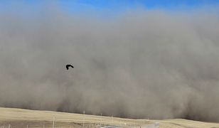 Burza piaskowa w Teheranie zabiła 4 osoby