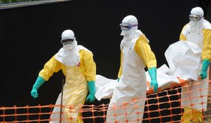 WHO: Ebola znów się rozszerza w Gwinei i Sierra Leone