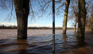 Poziom Wisły w rejonie Wyszogrodu przekroczył stan alarmowy