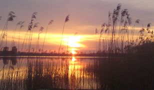 Dziś najkrótsza noc w roku - początek astronomicznego lata