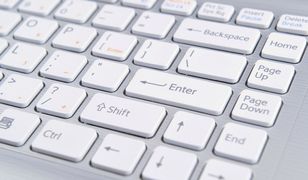 Biegły zakończył badanie dysku z Dominikany