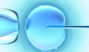 80 ciąż dzięki rządowemu programowi in vitro