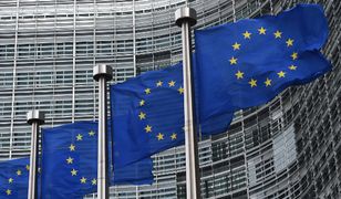 Komisja Europejska (KE)