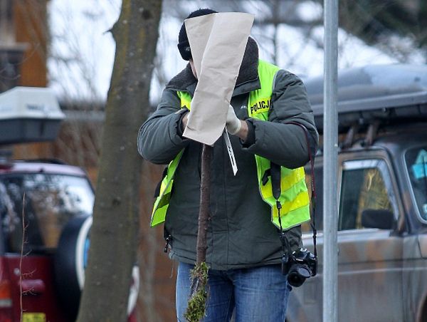 Policja zabezpiecza konar, który posłużył jako narzędzie zbrodni