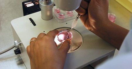 Chcą płacić za in vitro. To może być nielegalne