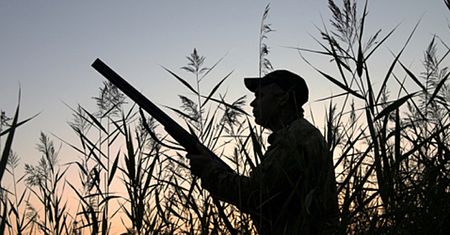 Niewiarygodna historia - pies postrzelił myśliwego