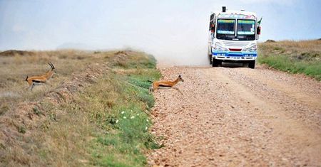 Tanzania: ponad 40 martwych ciał w ciężarówce z imigrantami