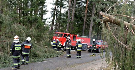 Niszczycielskie skutki silnego halnego w Tatrach i na Śląsku