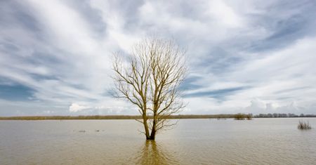 Po roztopach wysoki poziom rzek w woj. dolnośląskim