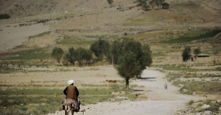 Afganistan: bomba przymocowana do osła zabiła policjanta