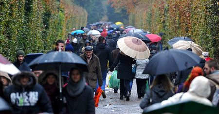 Wolontariusze będą kwestować na cmentarzach w Krakowie