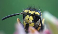 Tajemnica sekretu mnicha
