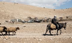 HRW: niech Izrael wstrzyma przesiedlenia mieszkańców beduińskiej osady