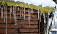 Jamie Stokes: uwaga, sople