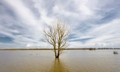 Woda w rzekach opada