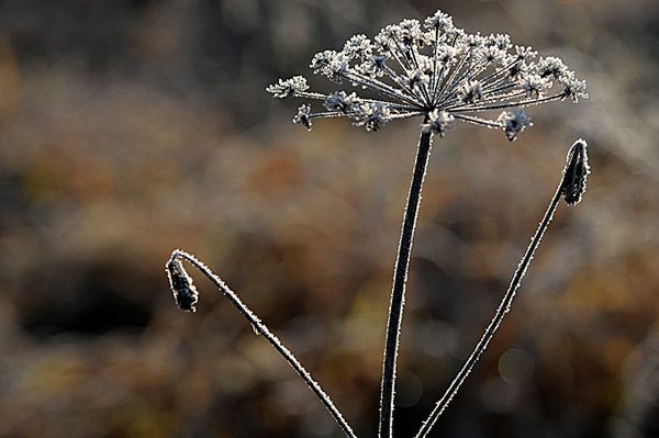 Zimno, zimniej. Idzie zima - sprawdź prognozę pogody