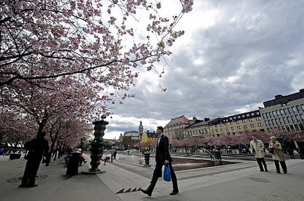 Polacy są trzecią grupą cudzoziemską w Szwecji
