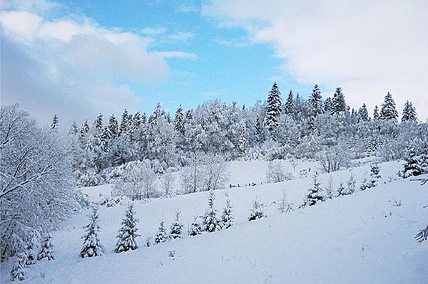 Zima nadciąga. IMGW zapowiada ochłodzenie, deszcz ze śniegiem i śnieg