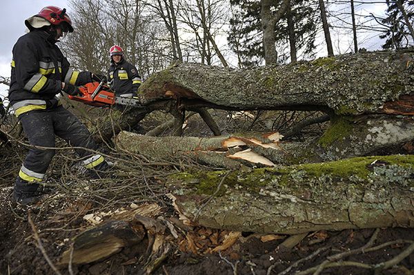 Wciąż naprawiają po wichurze, ale... ktoś ukradł przewody