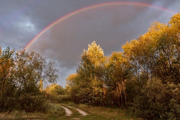 Prognoza pogody na 15 i 16 listopada