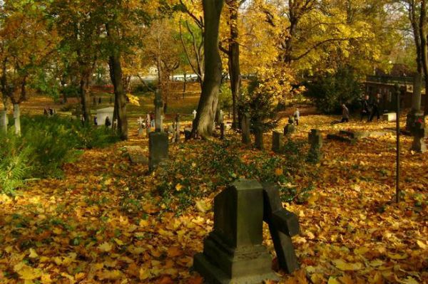 Jak znaleźć grób w Poznaniu? Skorzystaj z wyszukiwarki