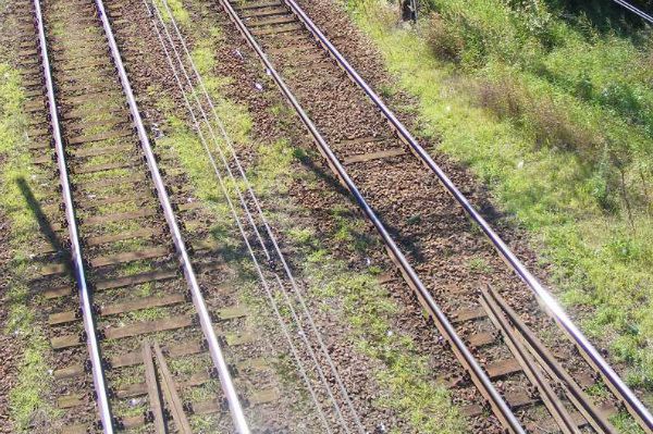 Dwaj mężczyźni zginęli pod kołami pociągów w Wielkopolsce