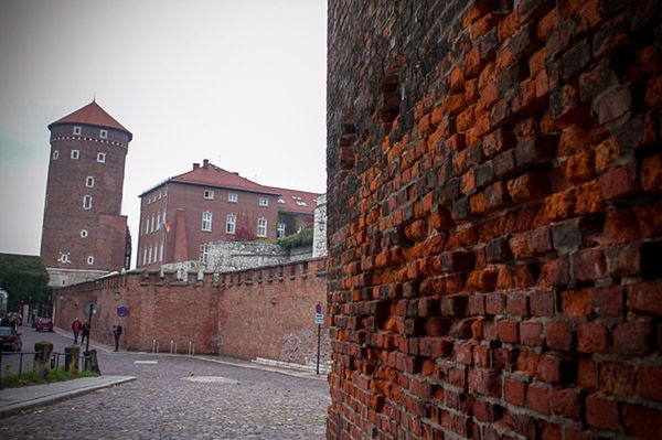 Wzgórze wawelskie w opłakanym stanie, a urzędnicy nic nie robią