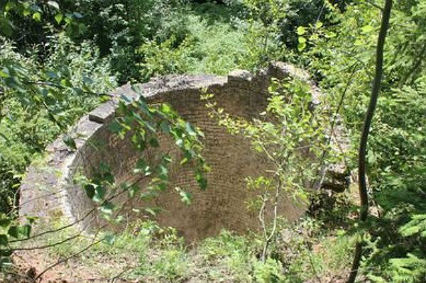 Uprowadzili mężczyznę, wywieźli do lasu i żądali 5 tys. zł okupu