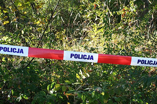 Ciało młodej kobiety z tatuażem znalezione w lesie w Małopolsce