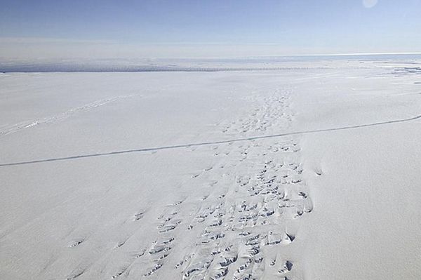 Topnieje antarktyczny lodowiec