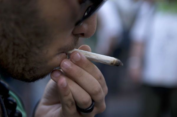 "Sadzić, palić...". Urugwaj zalegalizował marihuanę