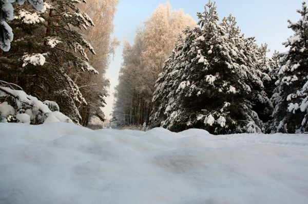 Pierwszy śnieg na Ukrainie zaskoczył wszystkich