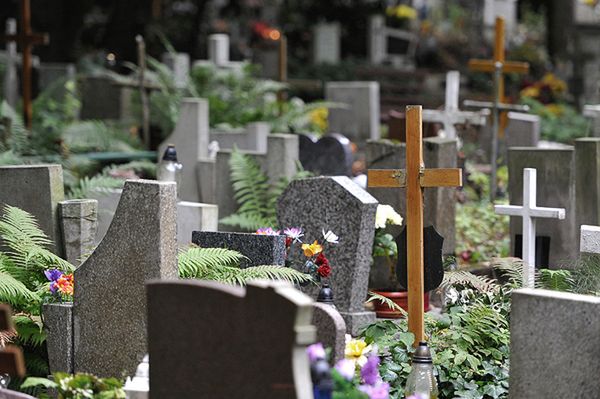 Wandale zdemolowali cmentarz w Wałbrzychu. Uszkodzonych jest ponad 30 grobów