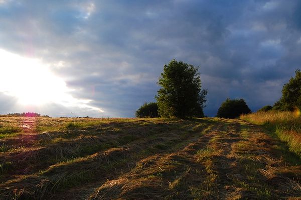 Przelotne opady deszczu - prognoza pogody na 25 i 26 września