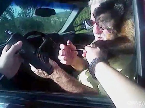 Małpka ugryzła policjanta w Teksasie