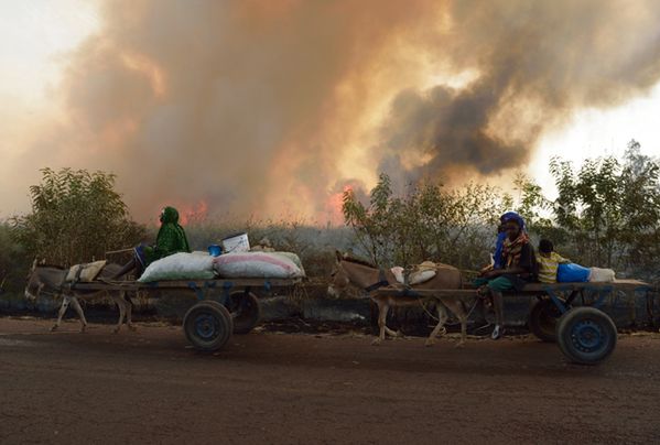 Mali: 4-5 mln ludzi zagrożonych z powodu braku żywności