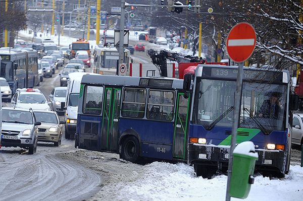 Europa środkowa zasypana: zawieje śnieżne utrudniają transport