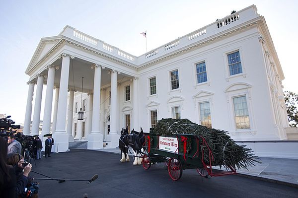 Prawica krytykuje Obamę za rozrzutność: za dużo choinek w Białym Domu