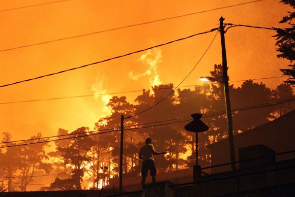 Pożary trawią Portugalię. Jedna osoba nie żyje