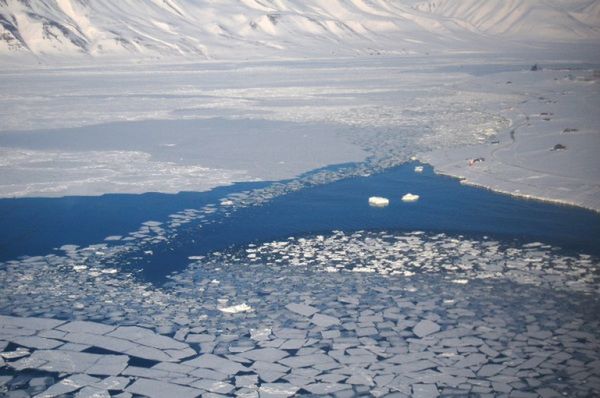 Naukowcy alarmują: lody Arktyki stopnieją już za siedem lat