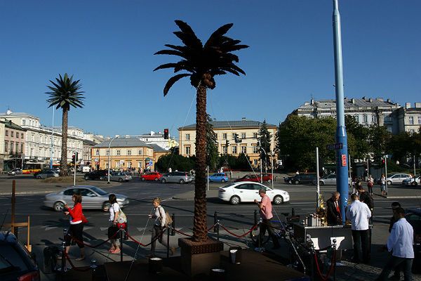 Czekoladowa palma stanęła w Warszawie