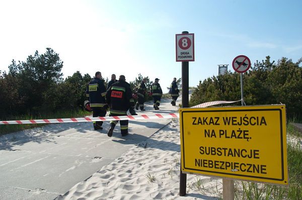 Usunęli toksyczną substancję na plaży w Czołpinie. Teren wciąż zamknięty